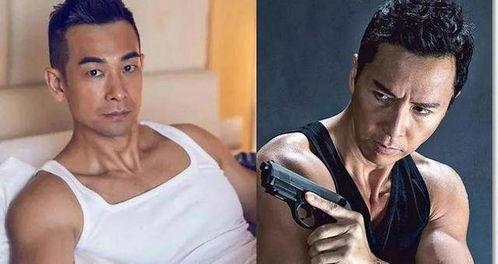 甄子丹赵文卓爆料视频,揭秘武术界幕后真相